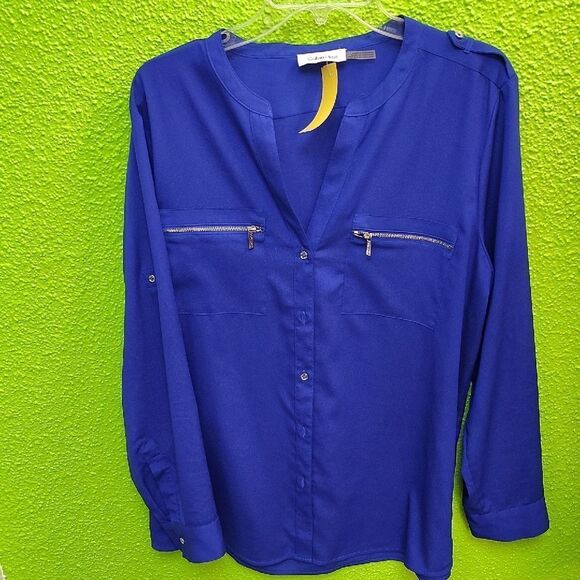 Calvin Klein Blue Long Sleeve Buttoned Blouse with Mandarin Collar - Picture 1 of 3